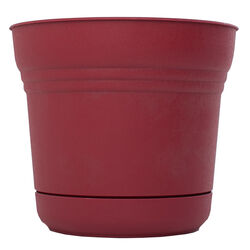 Bloem 4.5 in. H X 5 in. W Plastic Saturn Planter Burnt Red