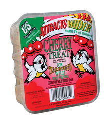 C&S Products Cherry Treat Assorted Species Beef Suet Wild Bird Food 11.75 oz