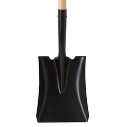 Home Plus Steel blade Wood Handle 8 in. W X 56 in. L Transfer Square Point Shovel