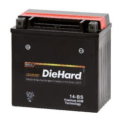 DieHard 12 12 V Powersport Battery