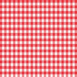 Magic Cover Red/White Checkered Vinyl Disposable Tablecloth 52 in. 52 in.