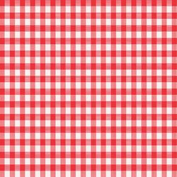 Magic Cover Red/White Checkered Vinyl Disposable Tablecloth 52 in. 52 in.