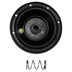 Rain Bird 1 in. L Diaphragm
