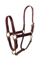 Hamilton Leather Halter