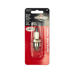 Briggs & Stratton Spark Plug RJ19LM