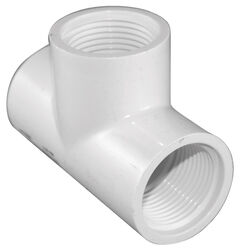 Charlotte Pipe Schedule 40 3/4 in. FPT T X 3/4 in. D FPT PVC Threaded Tee
