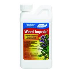 Monterey Weed Impede Weed Preventer Concentrate 16 oz