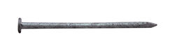 Pro-Fit 3-1/2 in. Common Hot-Dipped Galvanized Steel Nail Flat 5 lb