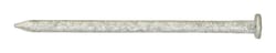 Ace 10D 3 in. Common Hot-Dipped Galvanized Steel Nail Flat 1 lb