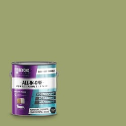 BEYOND PAINT Matte All-In-One Paint Exterior and Interior 53 g/L 1 gal