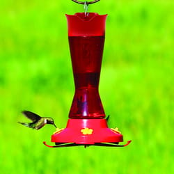 Perky-Pet Hummingbird 16 oz Plastic Nectar Feeder 4 ports