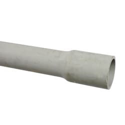 Cantex 1/2 in. D X 10 ft. L PVC Electrical Conduit For Rigid