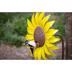 Desert Steel Sunflower Wild Bird 16 oz Steel Decorative Bird Feeder 1 ports