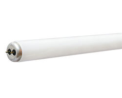 GE 25 W T12 33 in. L Fluorescent Bulb Cool White Linear 4100 K 1 pk