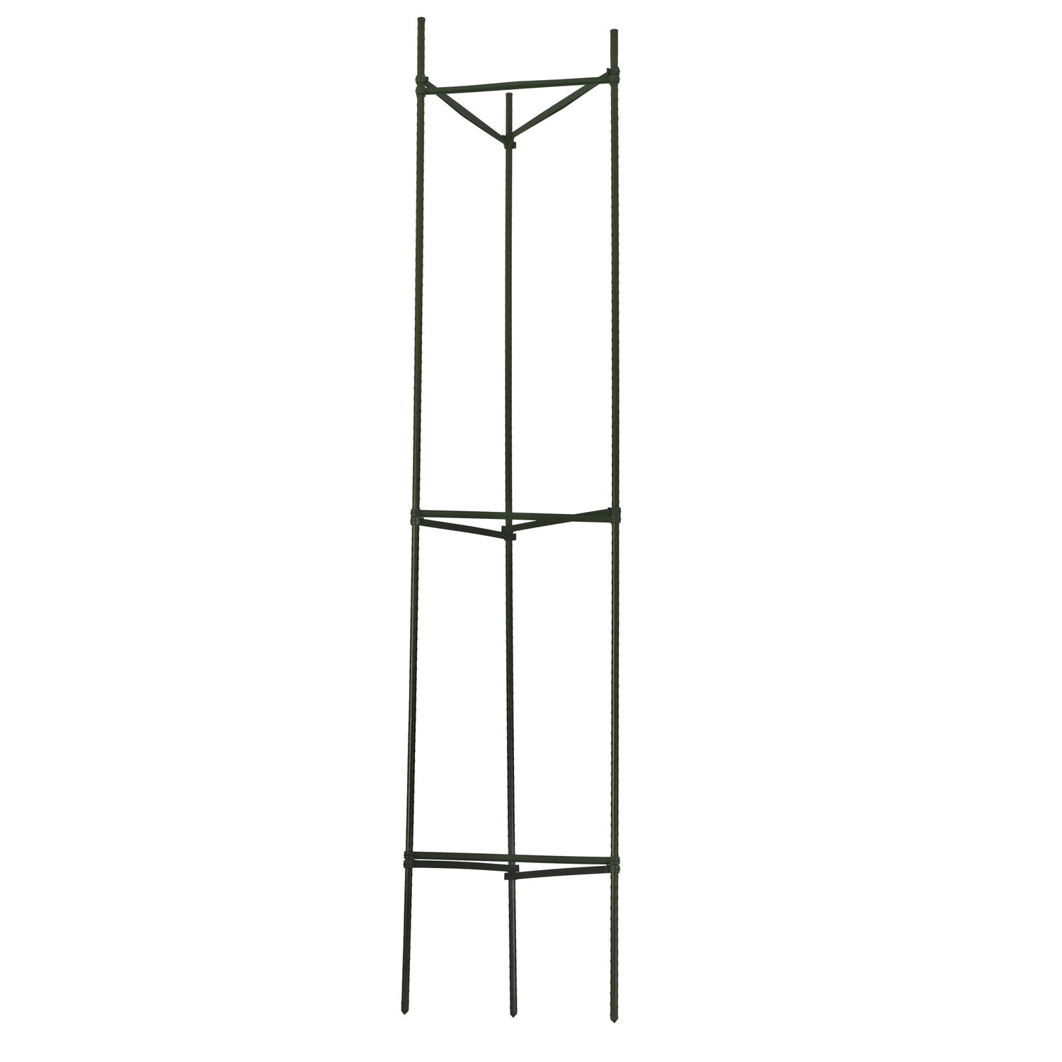 image-2