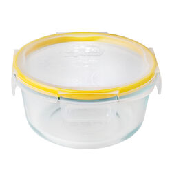 Snapware Total Solution 4 cups Clear Food Storage Container 1 pk