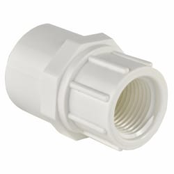 Charlotte Pipe Schedule 40 3/4 in. Slip T X 1/2 in. D FPT PVC Pipe Adapter
