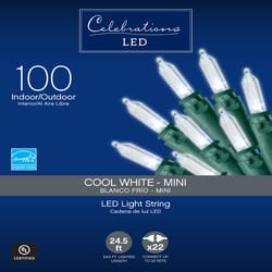 Celebrations Basic LED Mini Cool White 100 ct String Christmas Lights 24.75 ft.