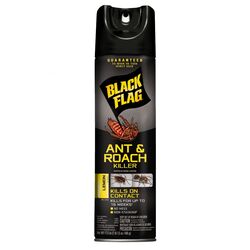 Black Flag Aerosol Ant and Roach Killer 17.5 oz