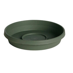 Bloem Terratray 2 in. H X 12 in. D Resin Traditional Tray Thyme Green
