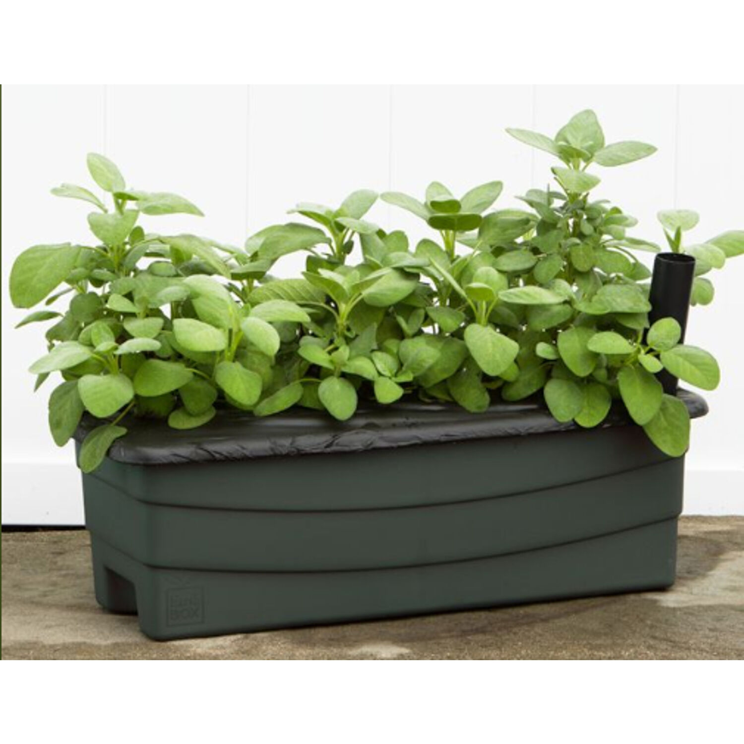 image-5