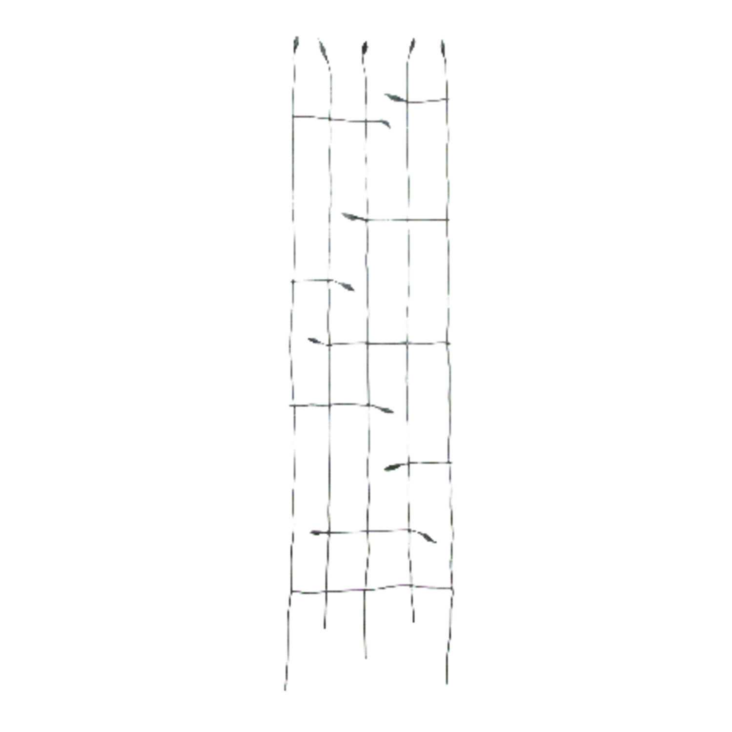 image-1