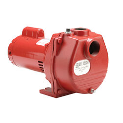 Red Lion 2 HP 77 GPM gph Cast Iron Sprinkler Pump