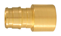 Apollo Expansion PEX / Pex A 1/2 in. Expansion PEX T X 1/2 in. D PEX Brass Female Adapter