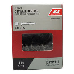 Ace No. 6 S X 1 in. L Phillips Drywall Screws 1 lb 343 pk