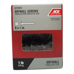 Ace No. 6 S X 1 in. L Phillips Drywall Screws 1 lb 343 pk