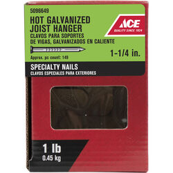 Ace 1-1/4 in. Joist Hanger Hot-Dipped Galvanized Nail 1 lb
