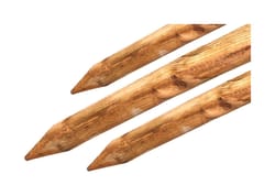 Bond 8 ft. H X 2-1/4 in. W Brown Wood Lodge Pole and Tree Stakes