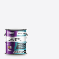 BEYOND PAINT Matte All-In-One Paint Exterior and Interior 32 g/L 1 gal