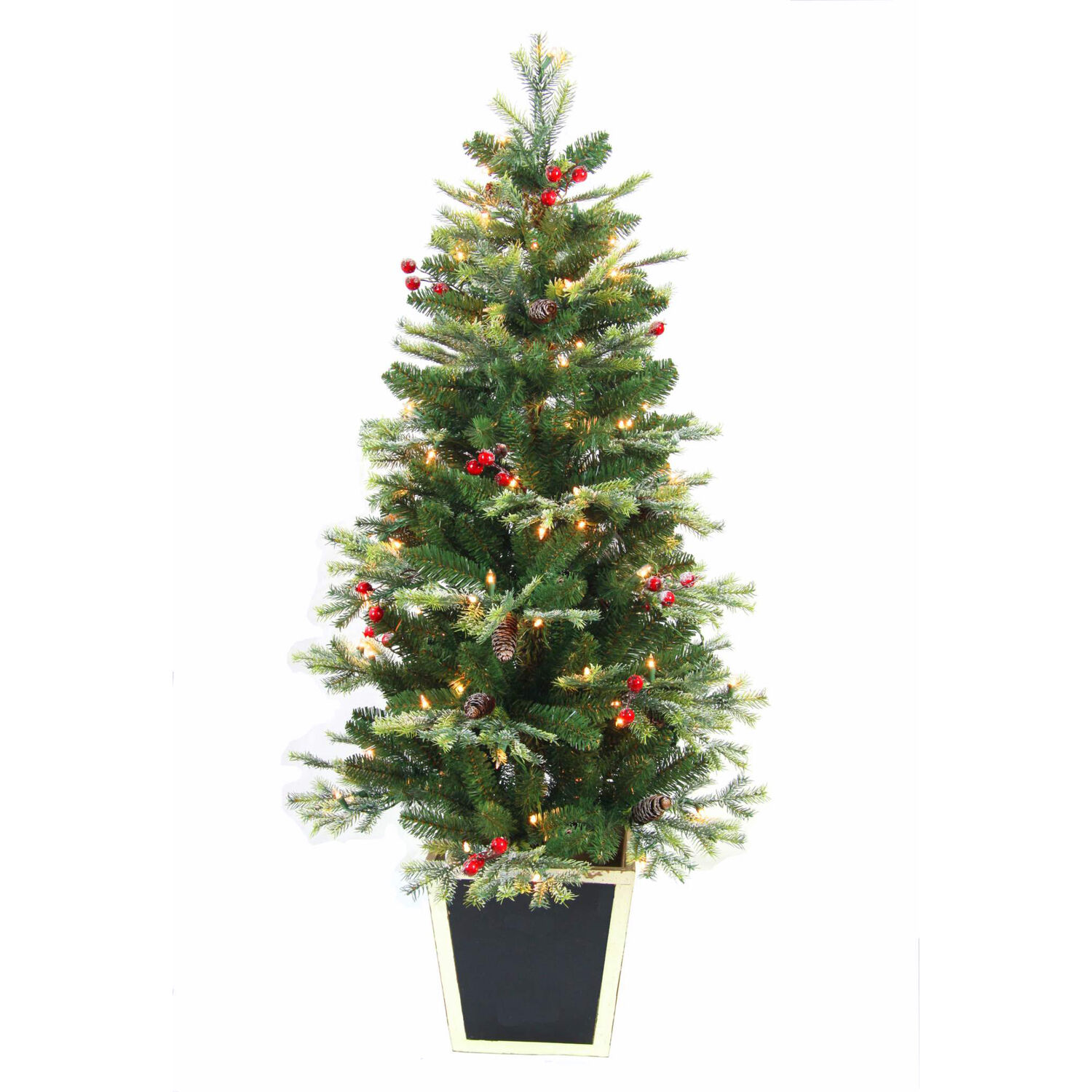 image-1
