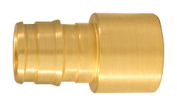 Apollo Expansion PEX / Pex A 1/2 in. Expansion PEX T X 3/4 in. D PEX Brass Female Adapter