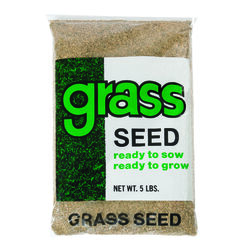 Barenbrug Annual Ryegrass Sun/Partial Shade Grass Seed 5 lb