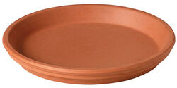 Deroma 1 in. H X 6 in. D Clay Traditional Plant Saucer Terracotta