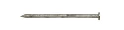 Ace 6D 2 in. Common Hot-Dipped Galvanized Steel Nail Flat 5 lb