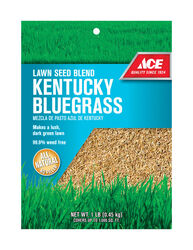 Ace Kentucky Bluegrass Full Sun Lawn Seed Blend 1 lb