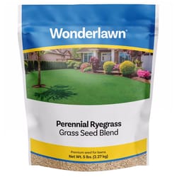 Barenbrug Wonderlawn Perennial Ryegrass Sun/Partial Shade Lawn Seed Blend 5 lb