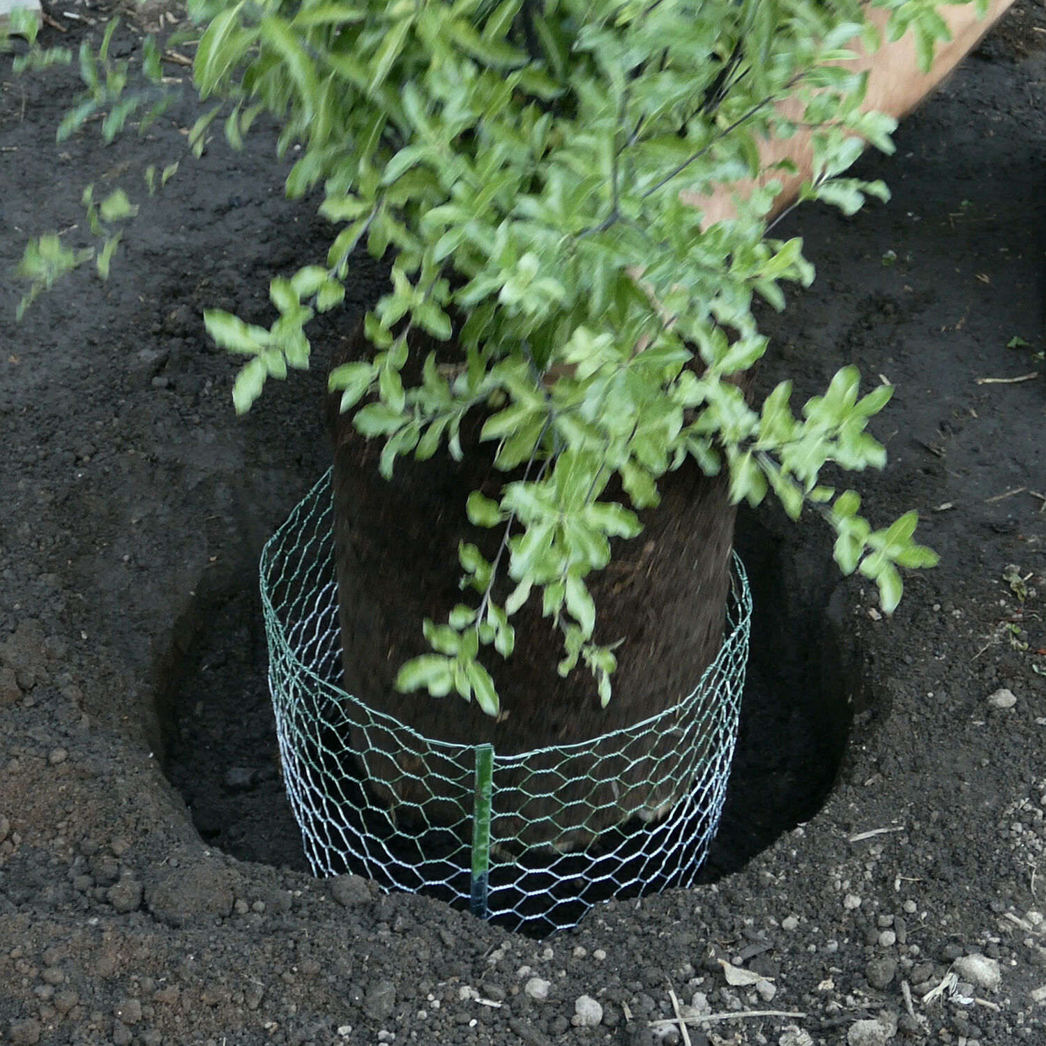 image-6