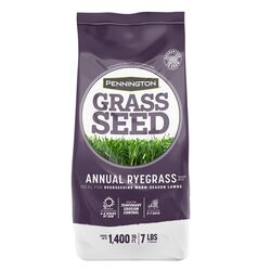 Pennington Annual Ryegrass Full Sun/Light Shade Grass Seed 7 lb