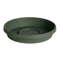 Bloem Terratray 2.7 in. H Resin Traditional Tray Thyme Green