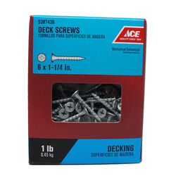 Ace No. 6 S X 1-1/4 in. L Phillips Bugle Head Deck Screws 1 lb 288 pk
