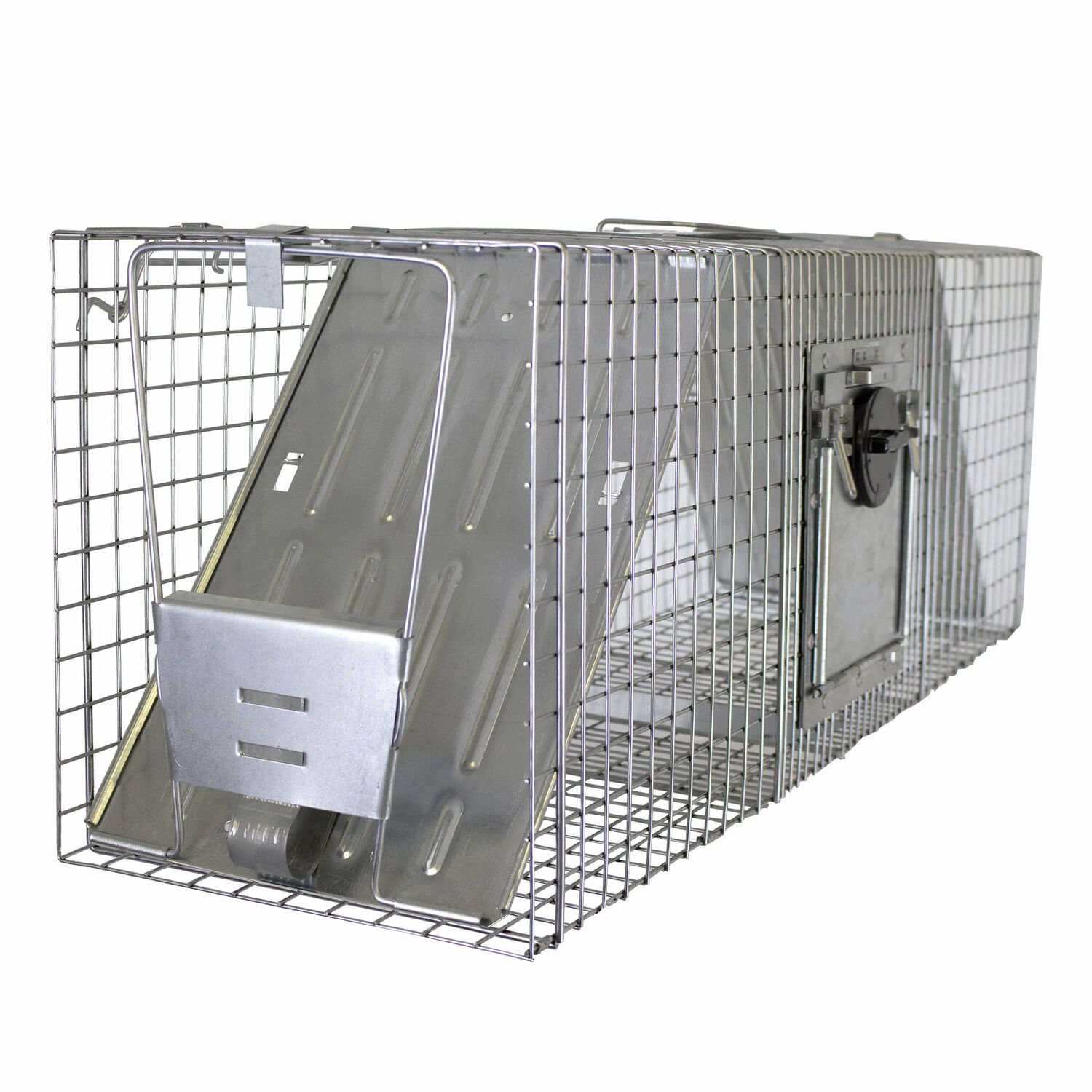 image-2