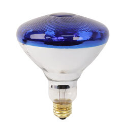 Ace 100 W PAR38 Floodlight Incandescent Bulb E26 (Medium) Blue 1 pk