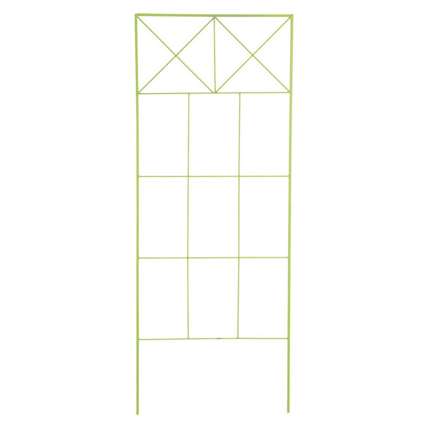 image-1