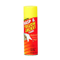 Enforcer Foam Insect Killer 16 oz