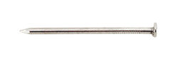 Ace 4D 1-1/2 in. Common Bright Steel Nail Flat 5 lb