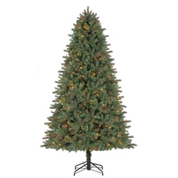 Celebrations 7-1/2 ft. Full Incandescent 600 ct Grande Fir Color Changing Christmas Tree